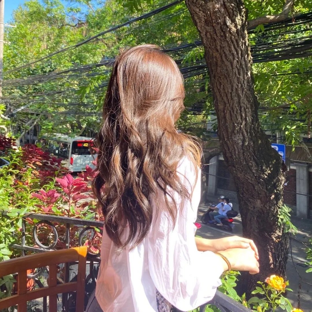 知更鸟