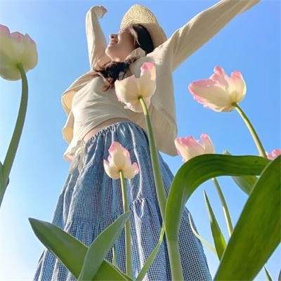 动画冒险