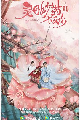 极速江湖 封面图